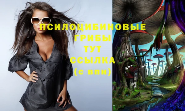 прущая мука Сатка