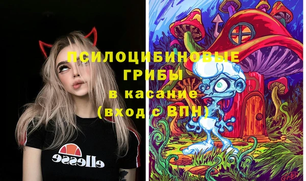 крисы Вяземский