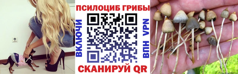 сколько стоит Таганрог Псилоцибиновые грибы прущие грибы